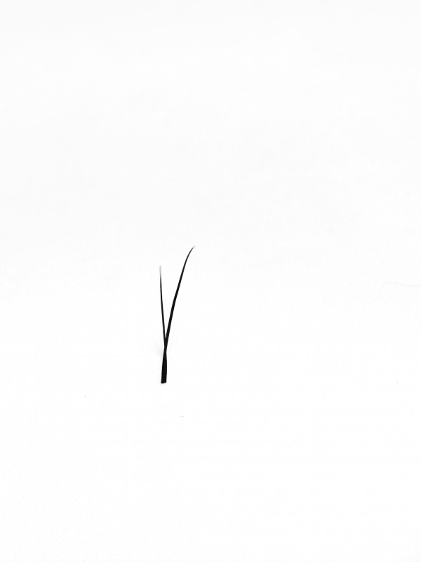 speedy-volume-zatoceni-b (2)